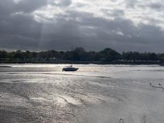 The Blackwater Estuary